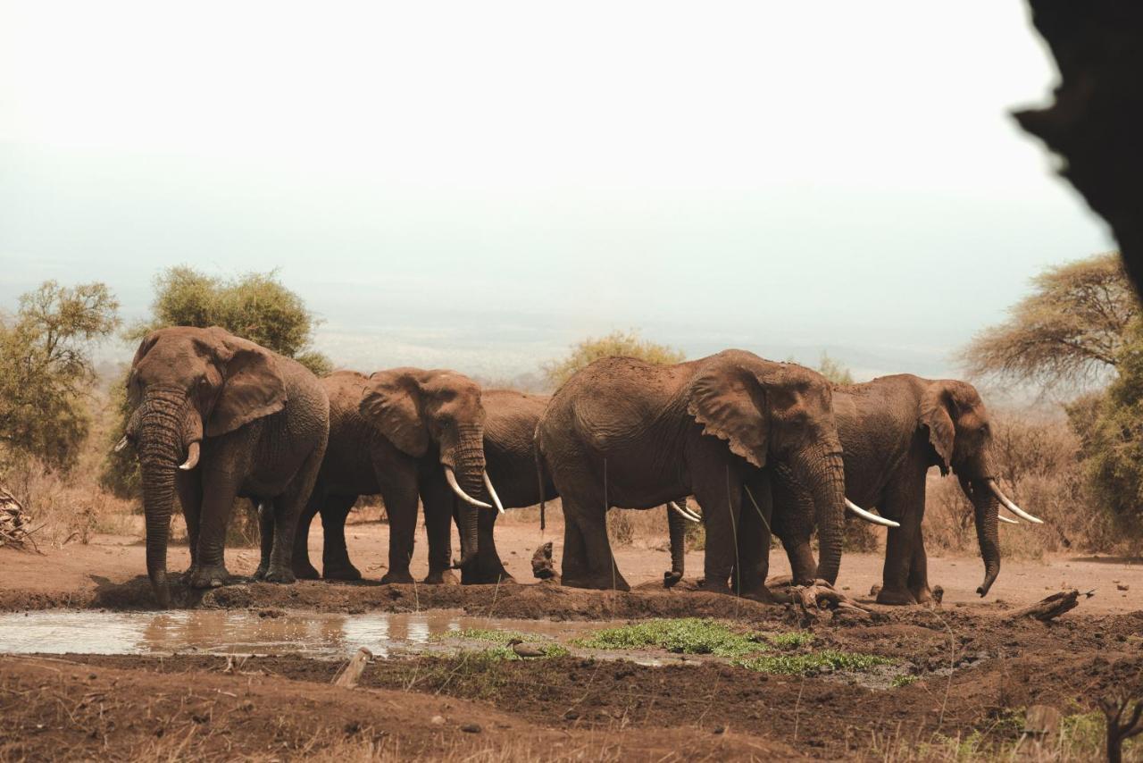 Tawi Lodge Amboseli Exterior photo